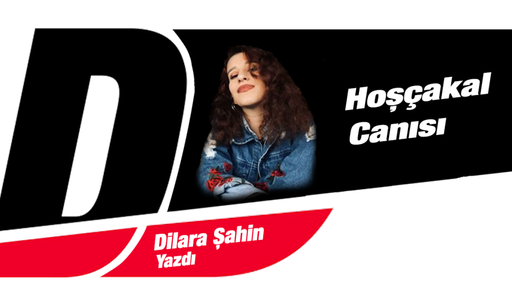 Dilara Şahin yazıları - www.diyagonal