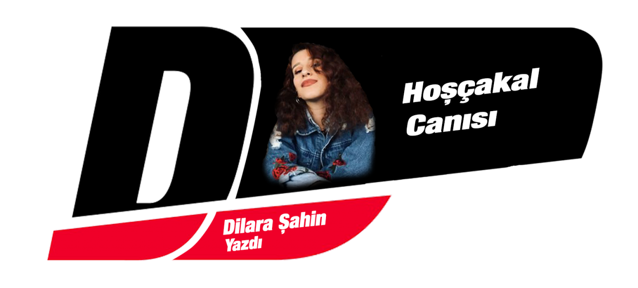 Dilara Şahin yazıları - www.diyagonal