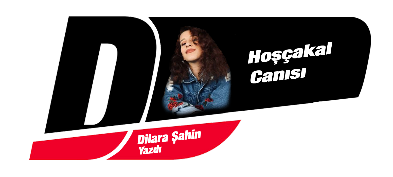 Dilara Şahin yazıları - www.diyagonal