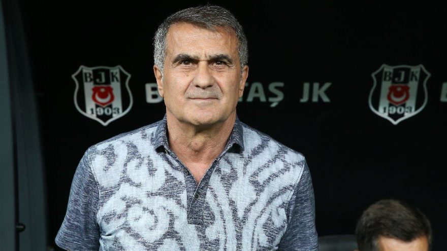 Şenol Güneş - www.diyagonal.net