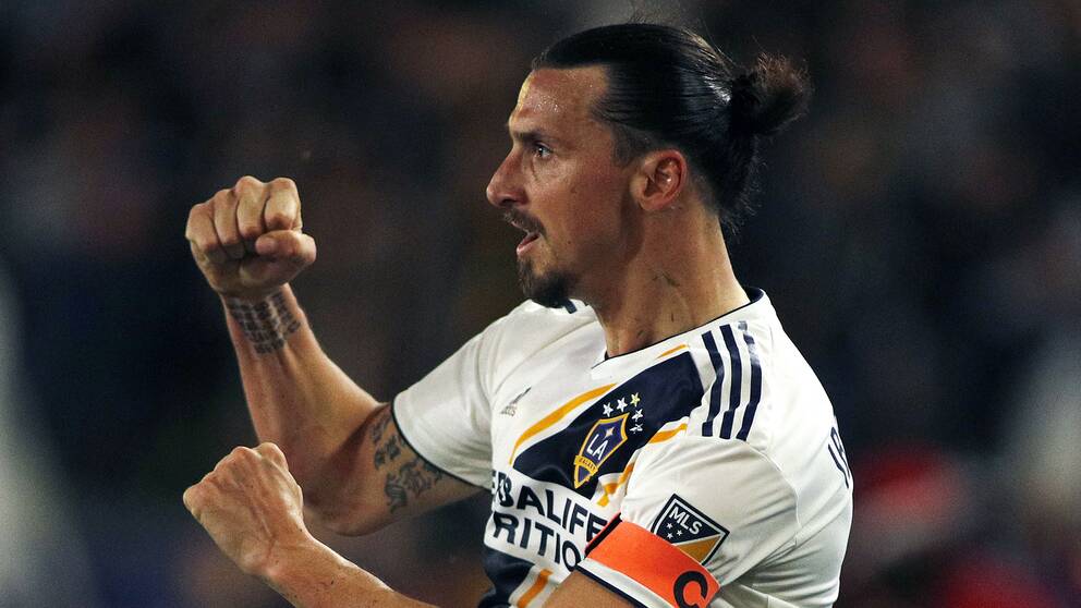 Zlatan Ibrahimovic to Bologna news