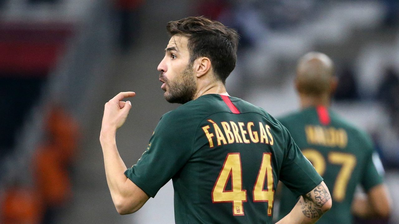 Cesc Fabregas'dan Fransız halkına eleştiri