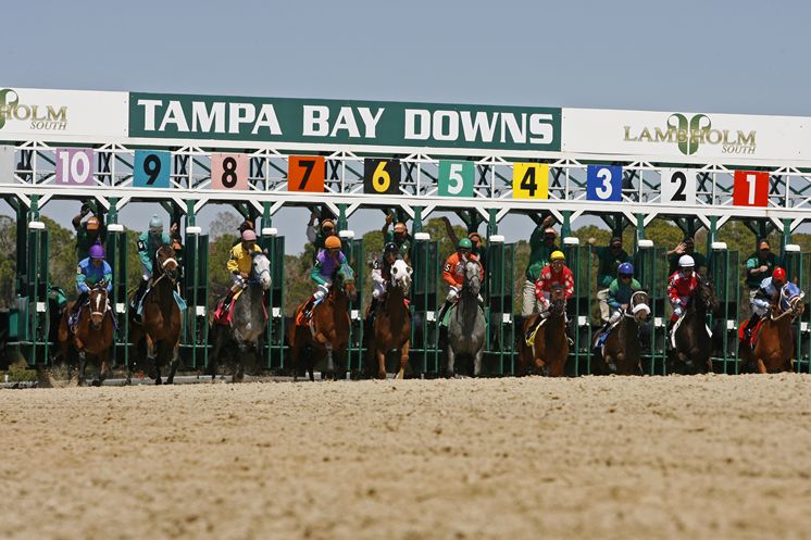 18 nisan 2020 Tamba Bay Downs yarış bülteni | Tamba Bay Down sonuçları