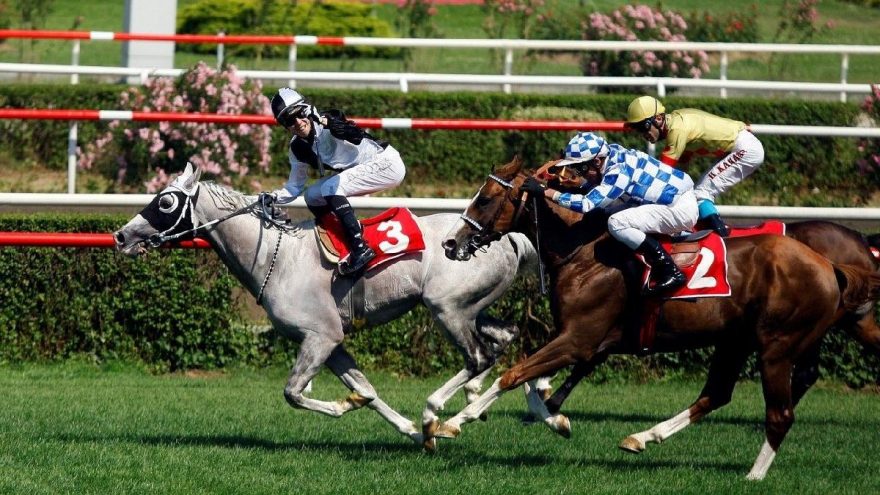 En son at yarışı haberleri - at yarışları ne zaman başlıyor