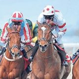 Gulfstream Park At Yarışı Tahminleri