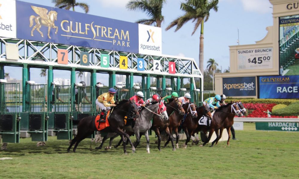 Gulfstream Park yarış bülteni - 16 Mayıs 2020