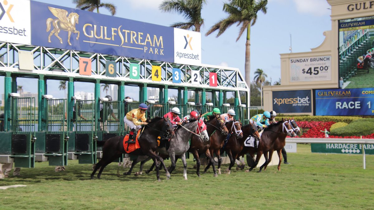 Gulfstream Park yarış bülteni - 16 Mayıs 2020