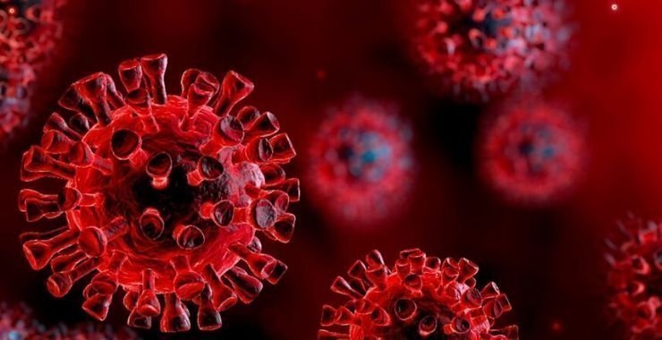 Korona virüsün gözden kaçan etkileri - 30 Nisan 2020 Korona virüs tablosu