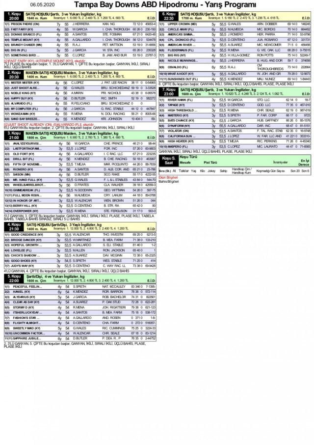 6 Mayıs 2020 Tampa Bay Downs ABD Hipodromu