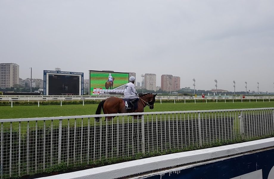 Dreden Almanya Hipodromu at yarışı tahminleri - 22 Mayıs 2020