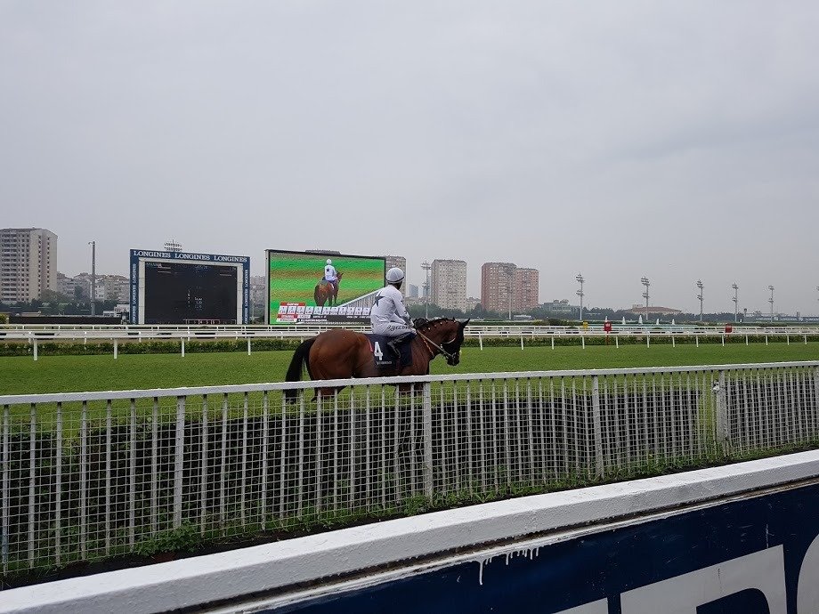 Dreden Almanya Hipodromu at yarışı tahminleri - 22 Mayıs 2020