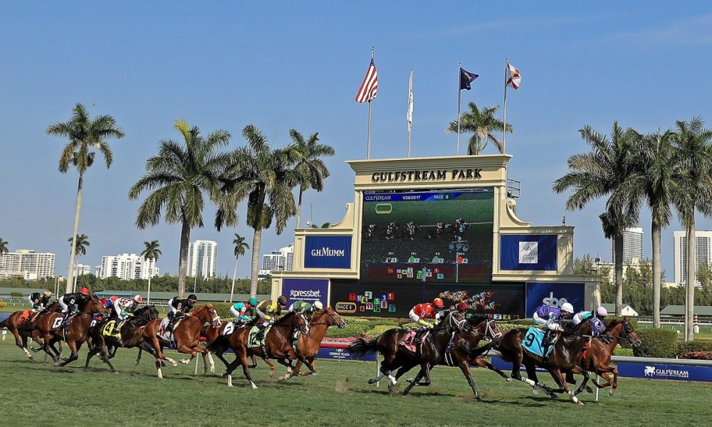 Gulfstream Park at yarışı bülteni - at yarışı sonuçları