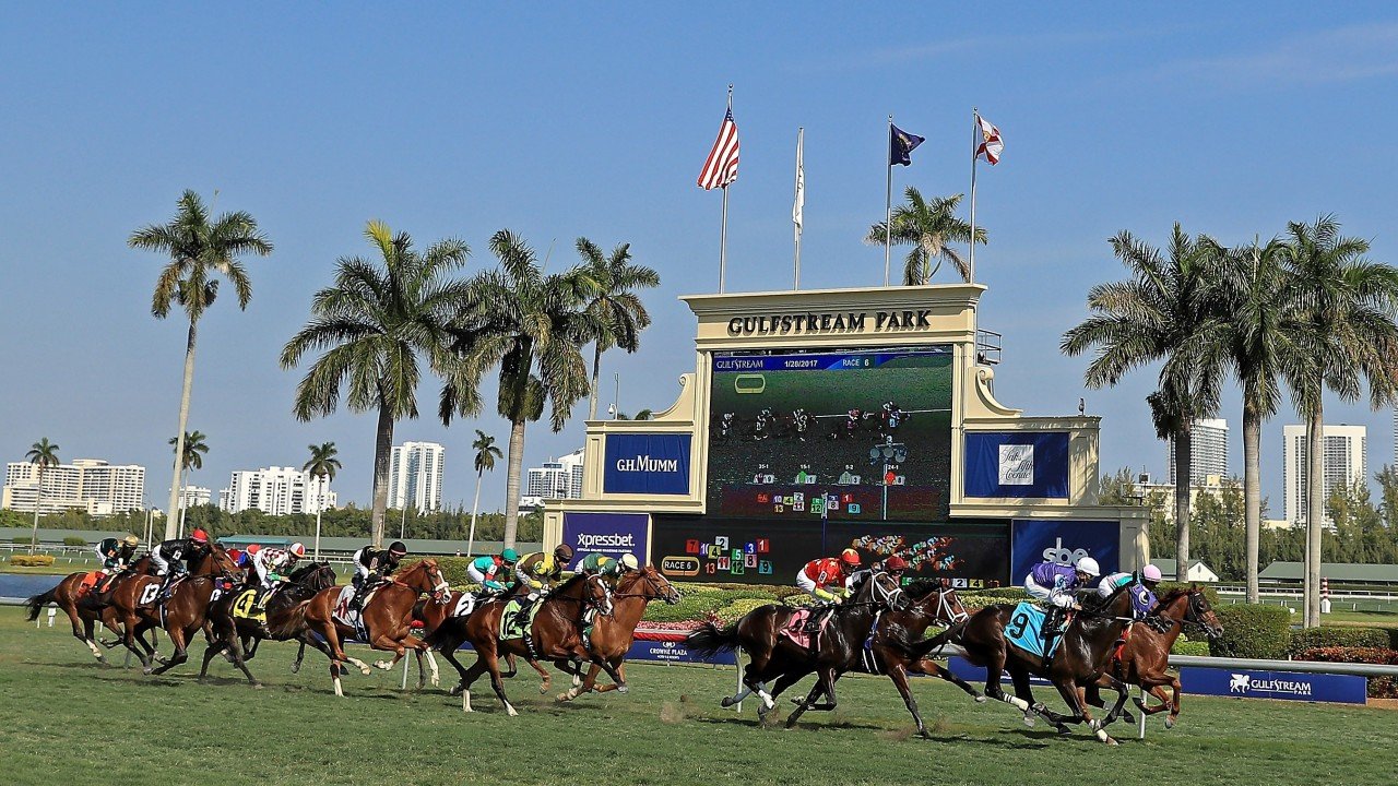 Gulfstream Park at yarışı bülteni - at yarışı sonuçları