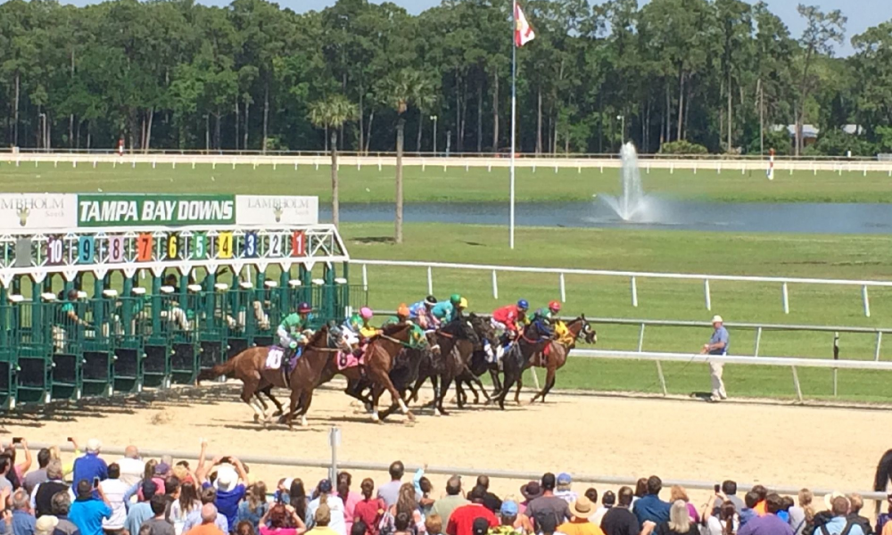 Tampa Bay Downs at yarışı bülteni 2 Mayıs 2020 at yarışı tahminleri