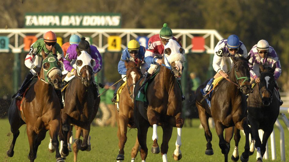 Tampa Bay Downs at yarışı bülteni - at yarışı sonuçları
