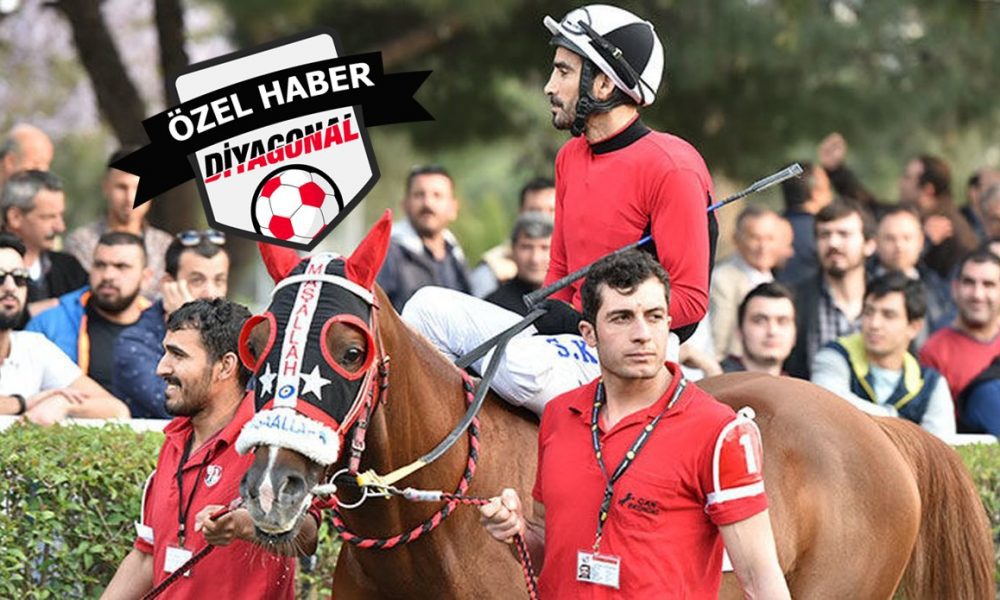 Selim Kaya - Cankardeşler