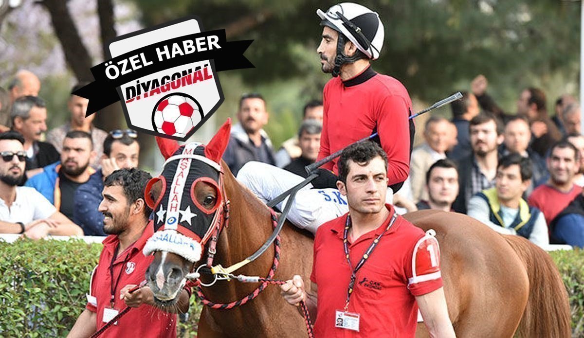 Selim Kaya - Cankardeşler