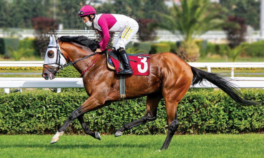 Call to Victory, 94.Gazi Koşusu'nun kazananı oldu