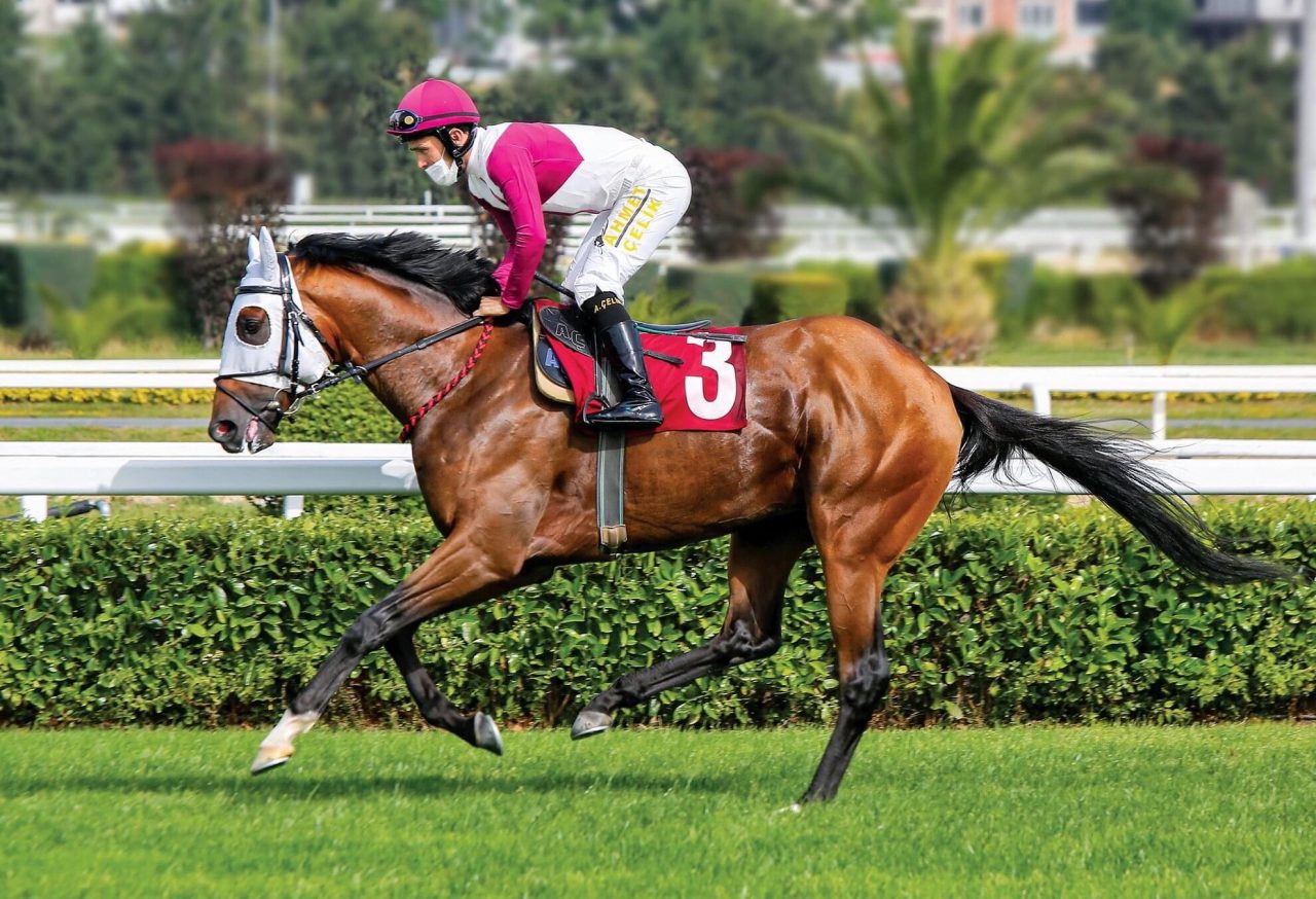 Call to Victory, 94.Gazi Koşusu'nun kazananı oldu