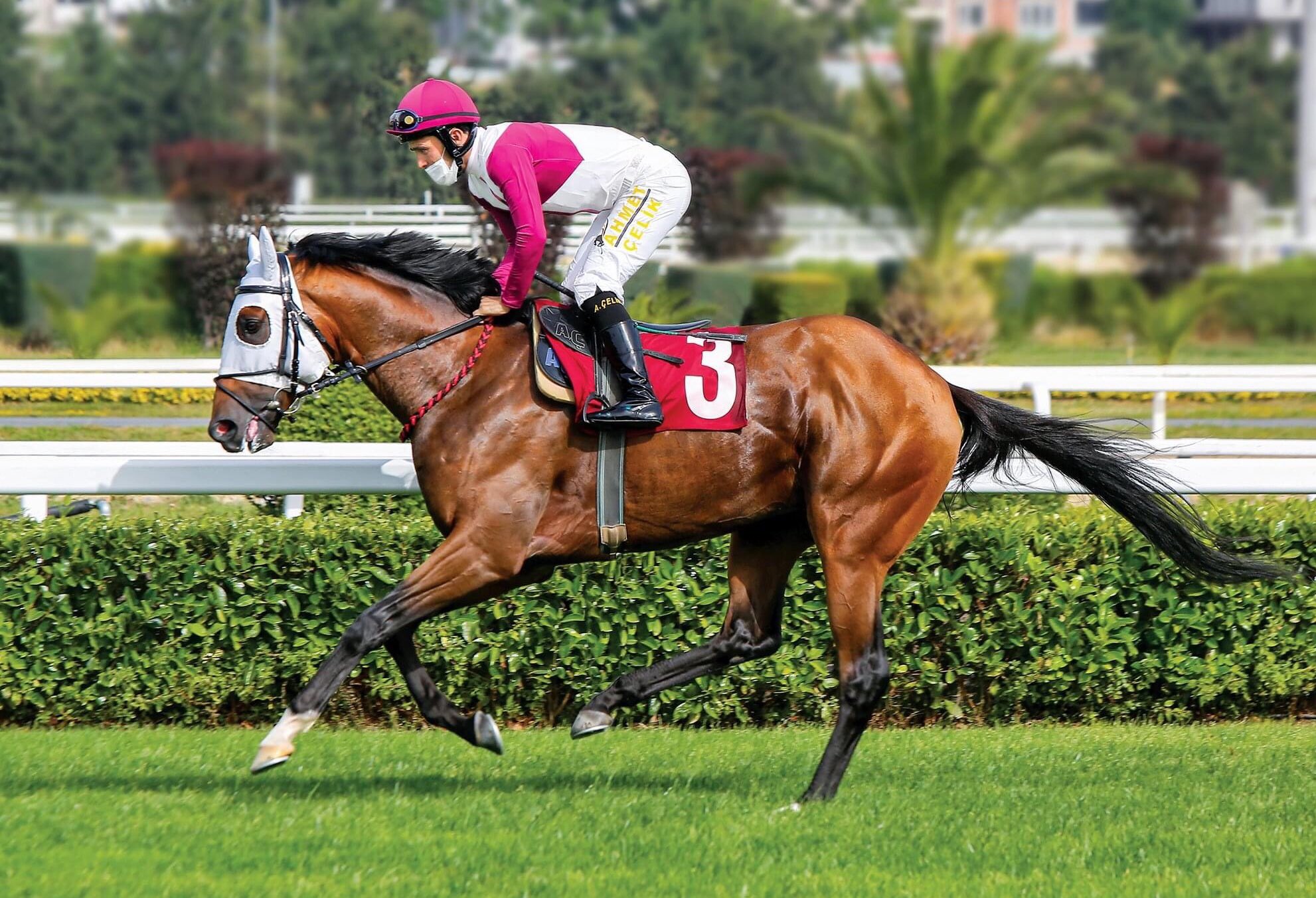 Call to Victory, 94.Gazi Koşusu'nun kazananı oldu