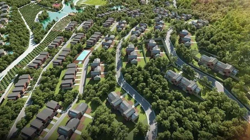 Riva projesi nedir Riva projesi nedir